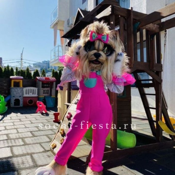 Аниматор Гламурная Собака в Архангельске