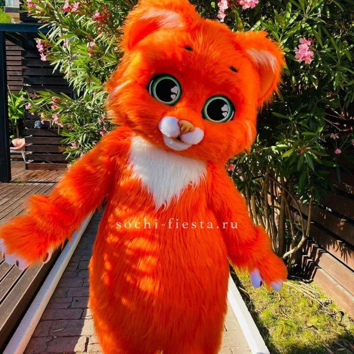 Аниматор Котик в Архангельске