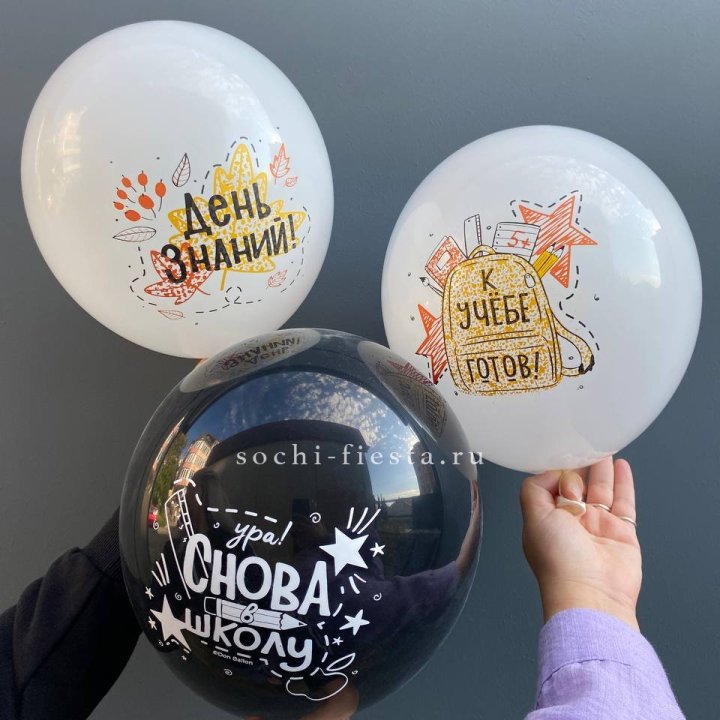 Воздушный шар к 1 сентября в Архангельске