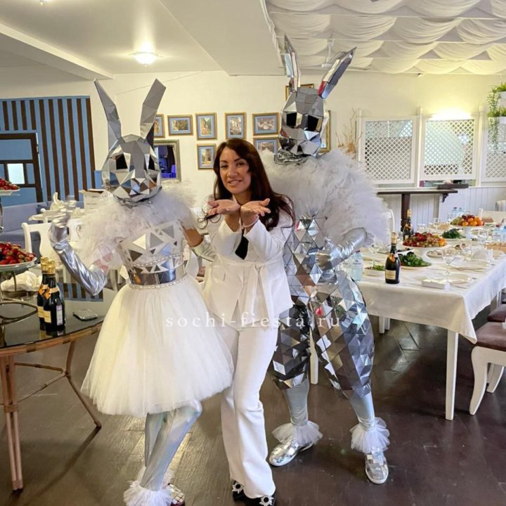 Аниматор Зеркальный заяц в Архангельске