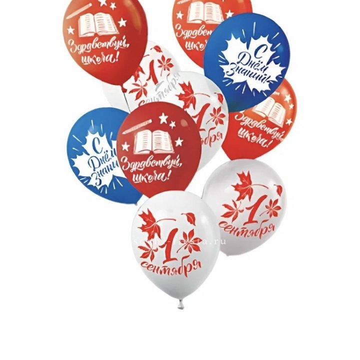 Воздушный шар на день знаний в Архангельске