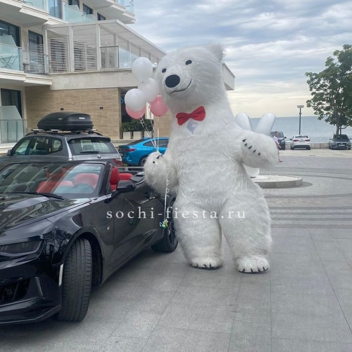 Аниматор Белый Медведь в Архангельске