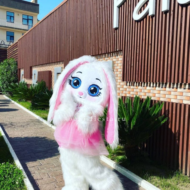 Аниматор Зайка в Архангельске