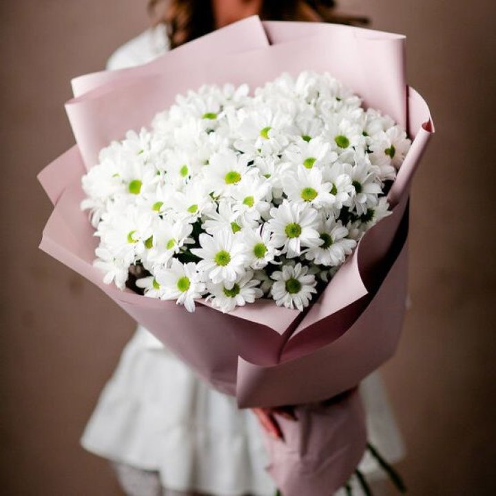 Букет хризантем №2 в Архангельске