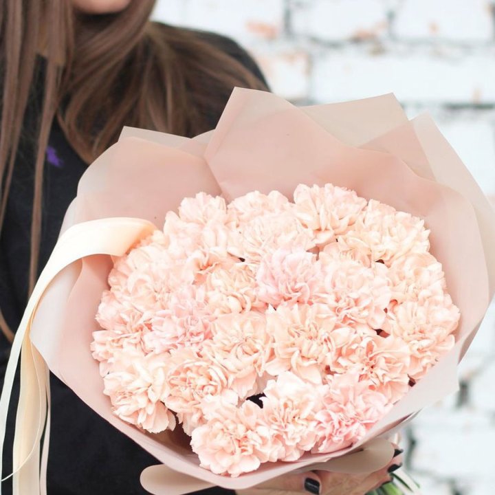 Диантусы №2 в Архангельске