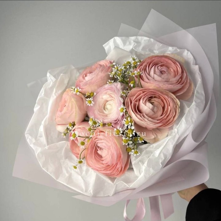 Ранункулюсы с ромашками в Архангельске