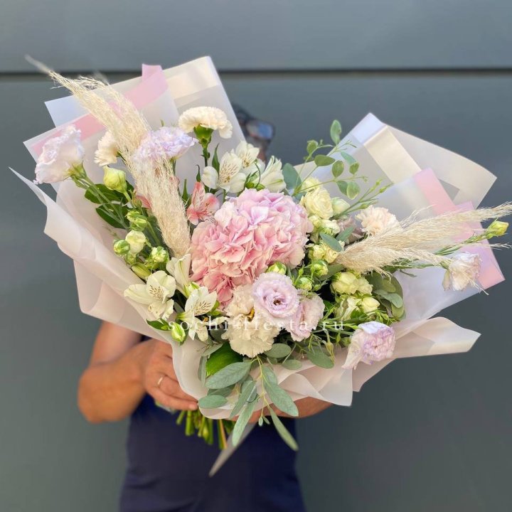 Гортензия "Пинк флоид" в Архангельске