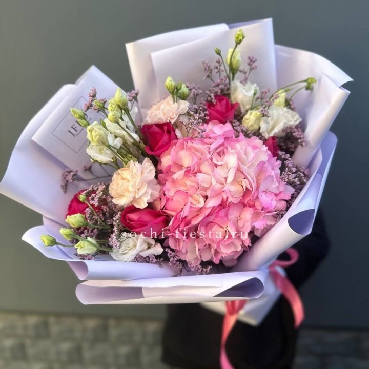 Гортензия "Перпил" в Архангельске