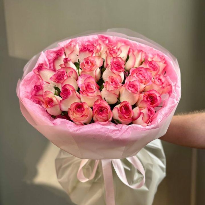 29 джумилий в Архангельске