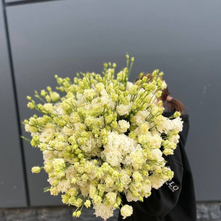 51 белая эустома в Архангельске