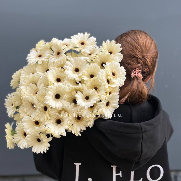 51 гербера в Архангельске