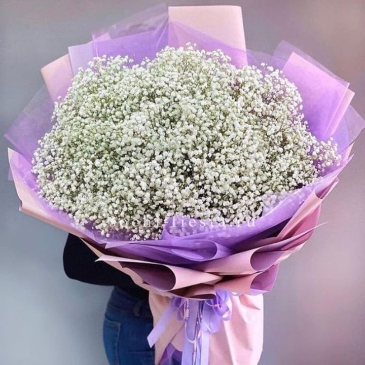 Облако белых гипсофил в Архангельске