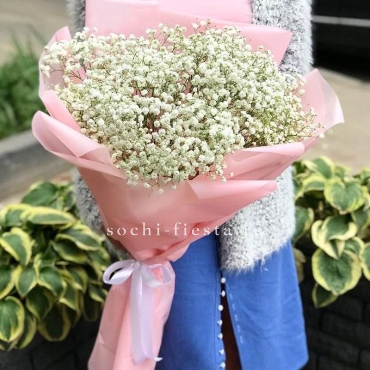 Белоснежные гипсофилы в Архангельске