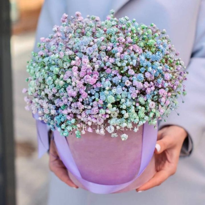 Гипсофилы в шляпной коробке "Кандилайт" в Архангельске