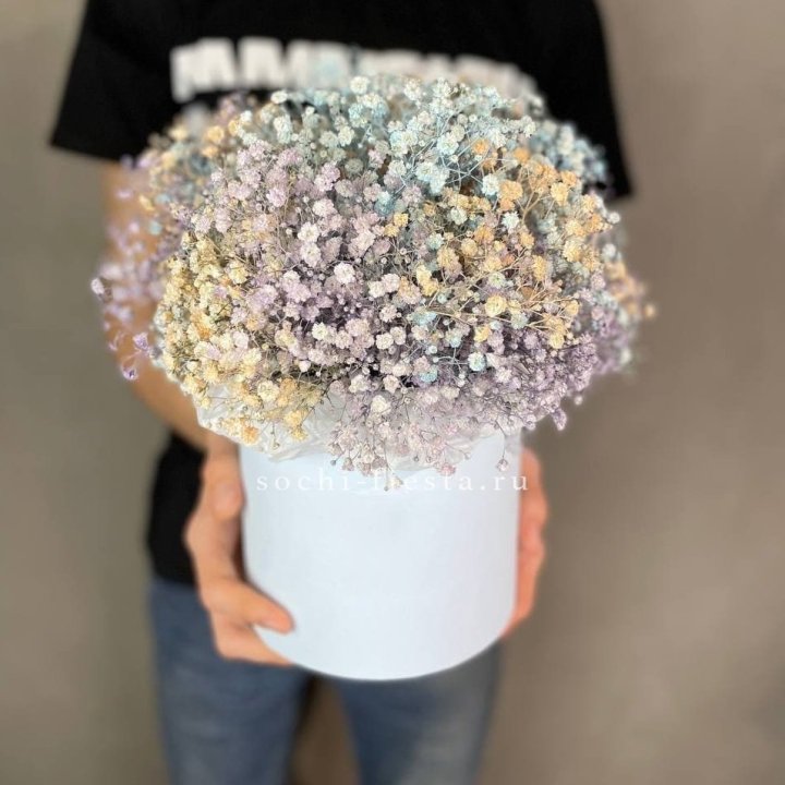 9 Радужных гипсофил в шляпной коробке в Архангельске