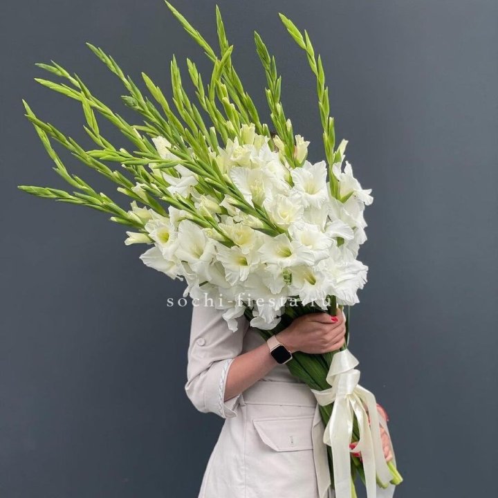19 белых гладиолусов под ленту в Архангельске