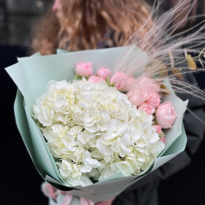 Гортензия "Жасмин" в Архангельске