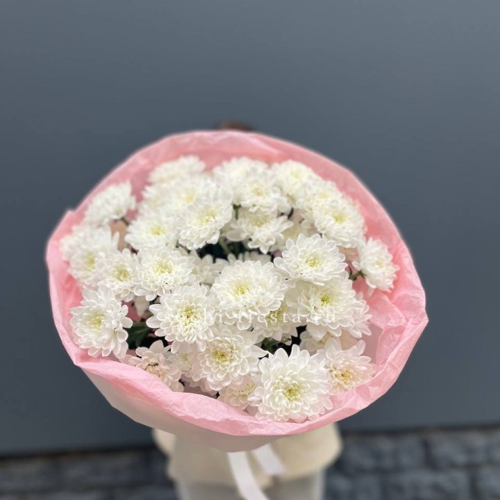  5 хризантем  в Архангельске