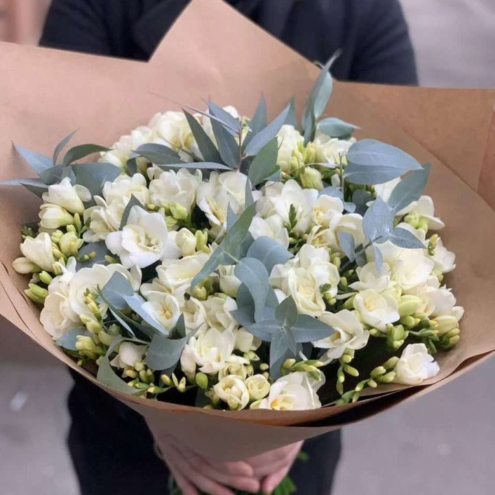 51 фрезия с эвкалиптом в Архангельске