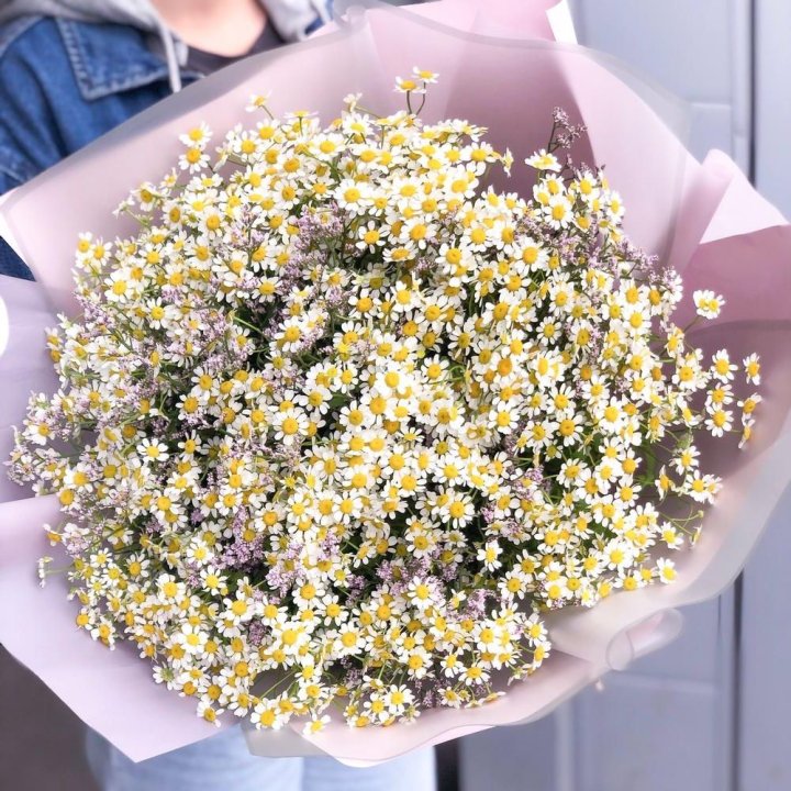 Букет ромашек №1 в Архангельске