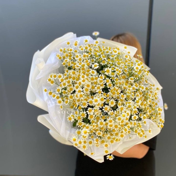 Букет ромашек "Фемели" в Архангельске