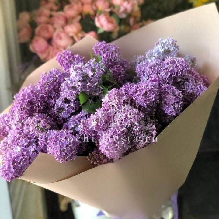 Букет сирени №2 в Архангельске