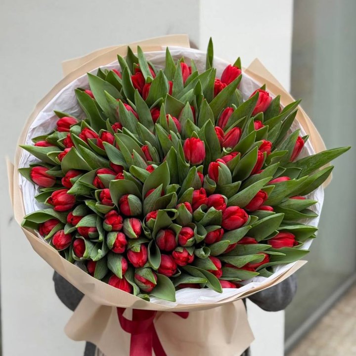 101 красный тюльпан в Архангельске