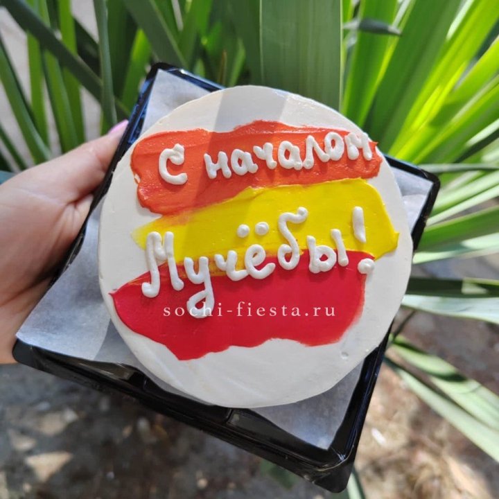 Бенто-торт "С началом учёбы"" в Архангельске