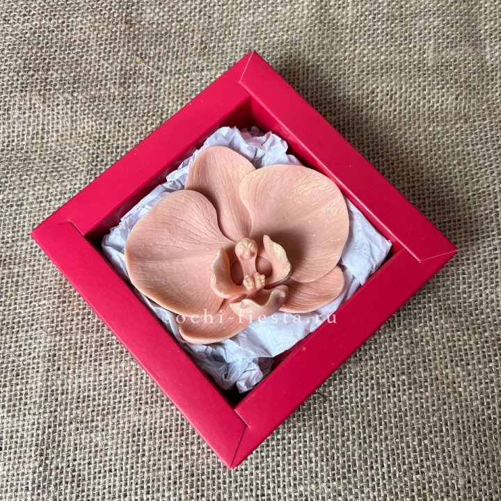 Бельгийский шоколад Орхидея в Архангельске