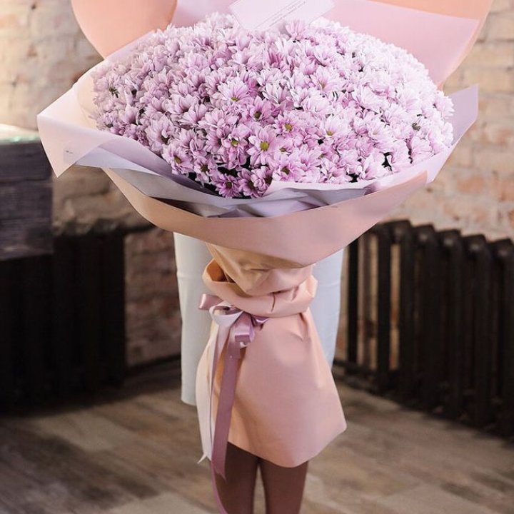 Облако хризантем №1 в Архангельске