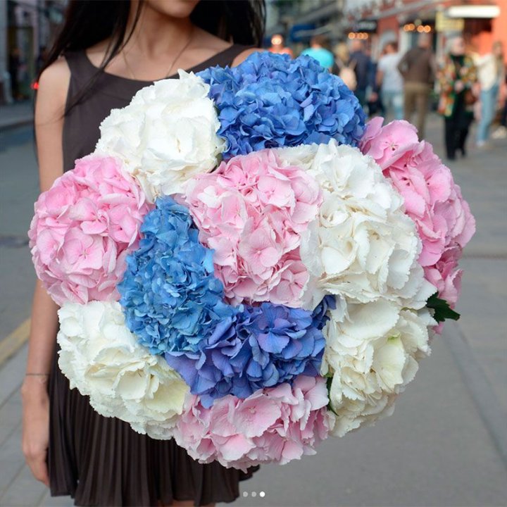 Букет гортензий "Инь-Янь" в Архангельске