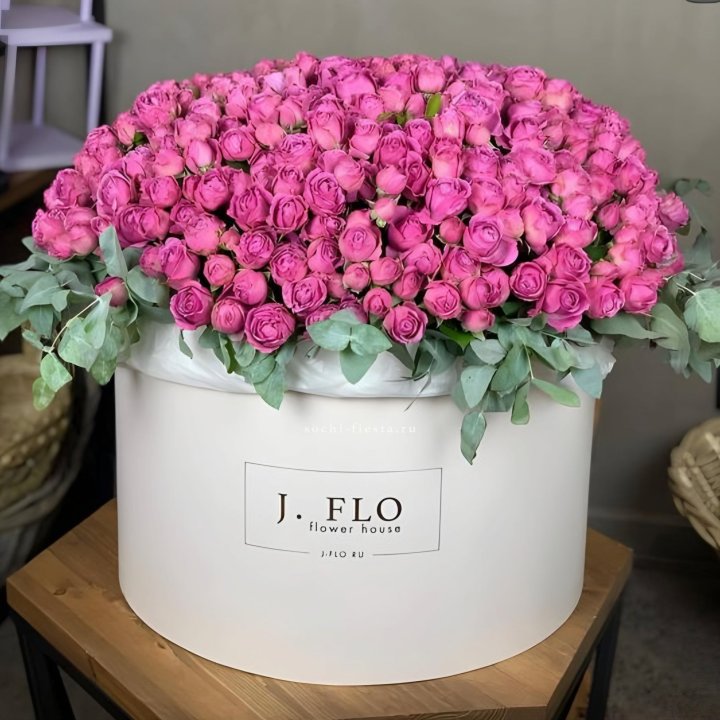 Цилиндр с Мисти Бабблс  в Архангельске