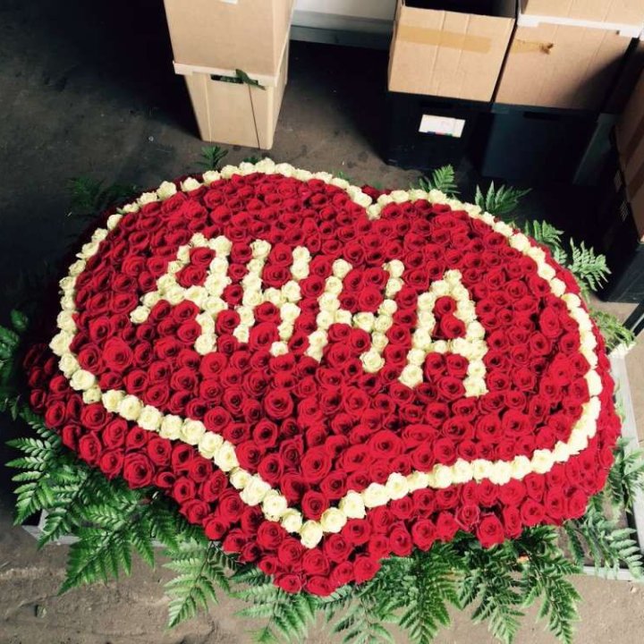 555 роз с именем в Архангельске