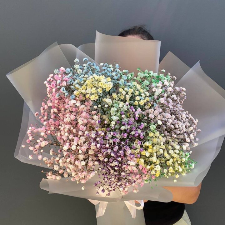 Радужные гипсофилы  в Архангельске