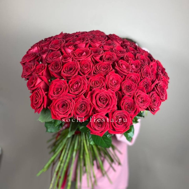 101  голландская роза  в Архангельске