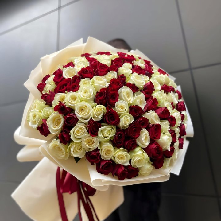 101 высокая импортная роза  в Архангельске