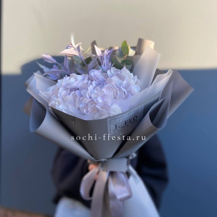 Гортензия "Виолета" в Архангельске