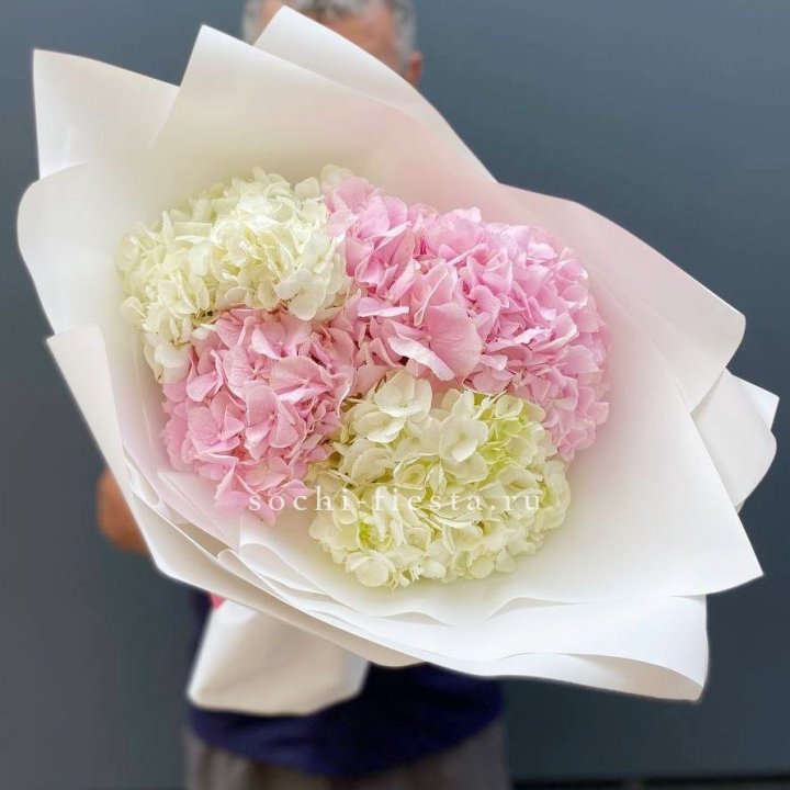 Букет гортензий №5 в Архангельске
