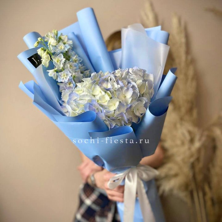 Гортензия "Блю скай" в Архангельске