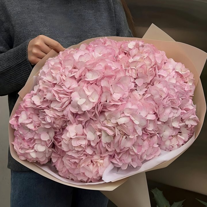 Гортензия  "РОЗЕ" в Архангельске