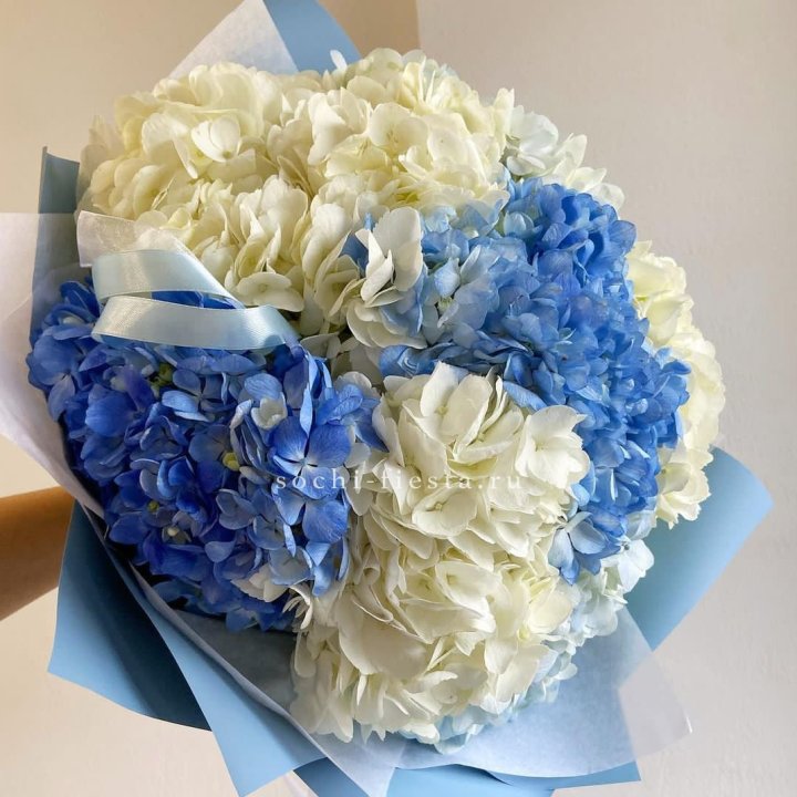 Букет гортензий "Голубая лаза" в Архангельске
