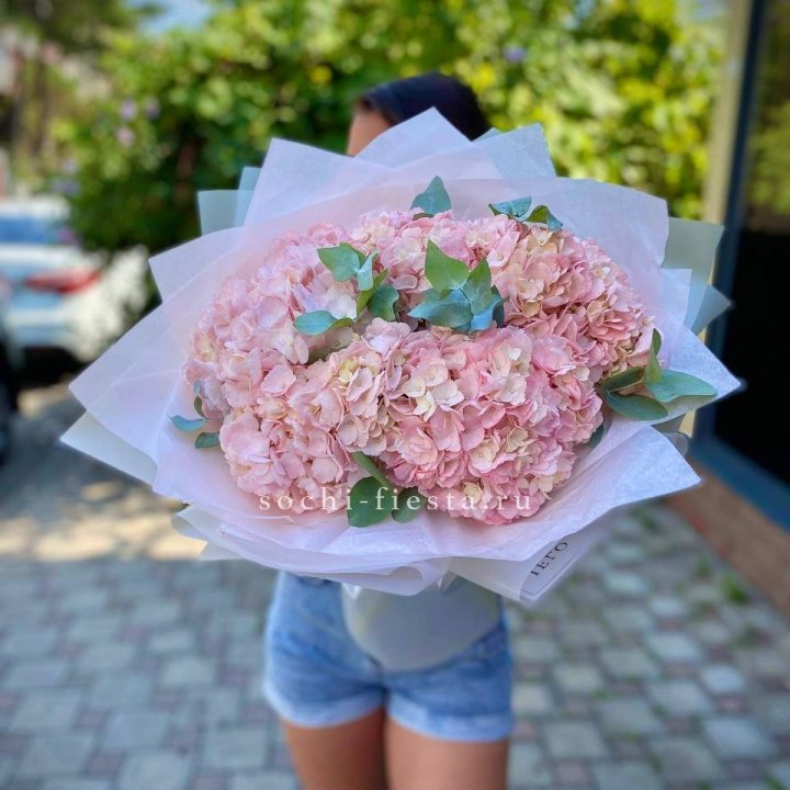 5 розовых гортензий  в Архангельске