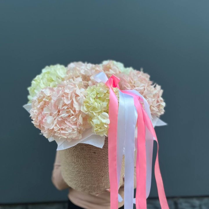 7 гортензий в кашпо в Архангельске