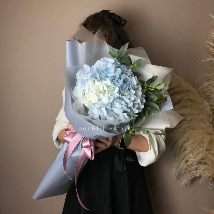 Гортензия Уно в Архангельске