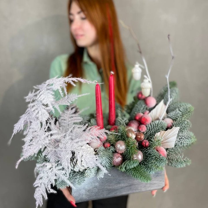 Бокс красный с нобилисом в Архангельске