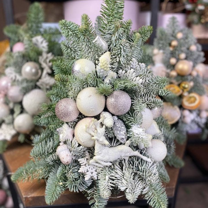 Ёлочка "Хепи крисмас" в Архангельске