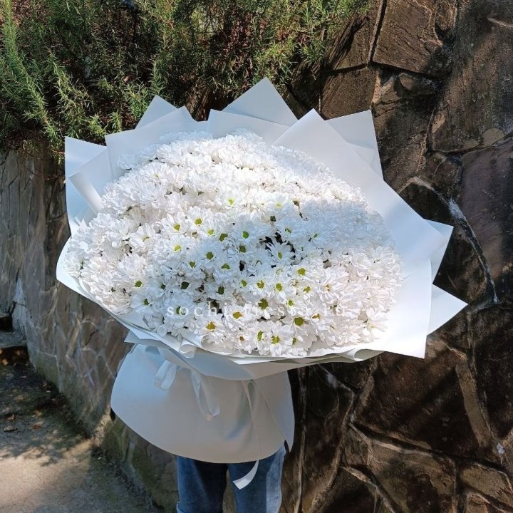 Облако хризантем №2 в Архангельске