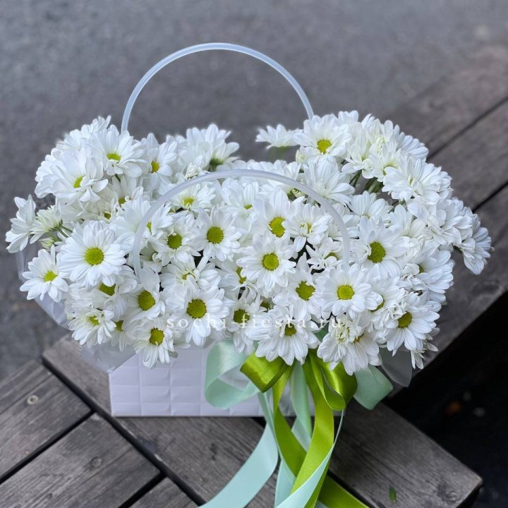 Сумка с хризантемами ромашками в Архангельске