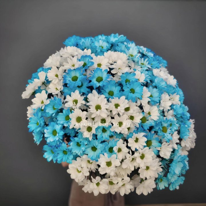  Букет хризантем микс в Архангельске