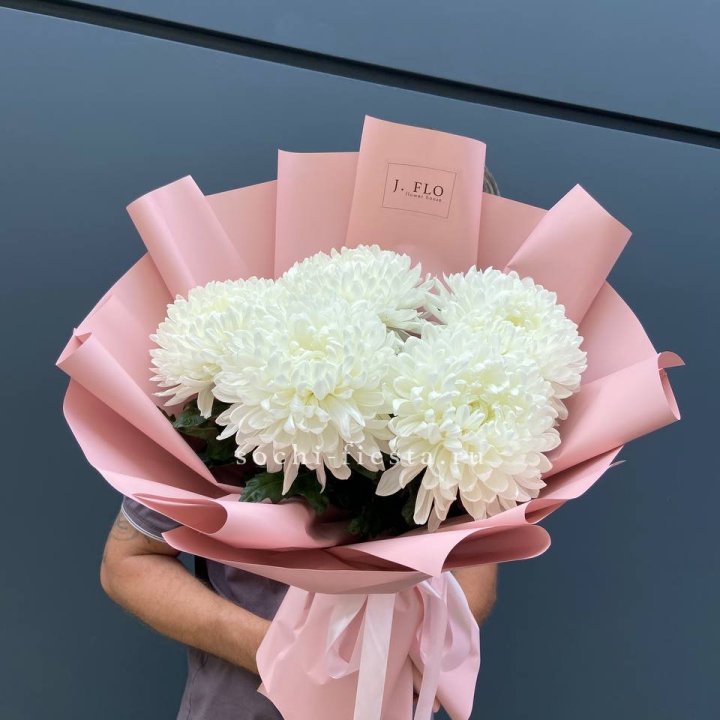 Профитроли №2 в Архангельске